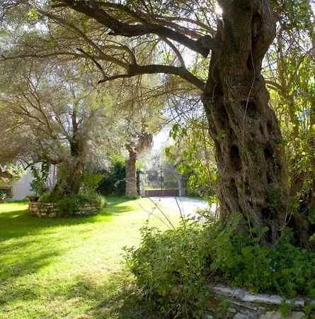 Villa Olivetto Lefkáda